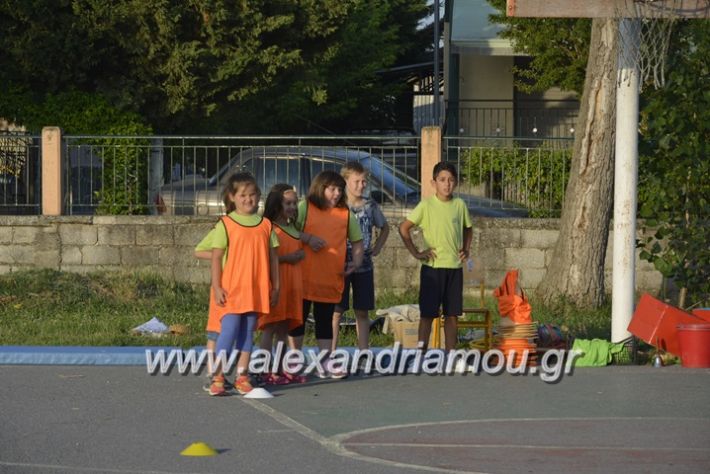 alexandriamou.gr_dim_sxoleio_neoxoriou11.6.2018065