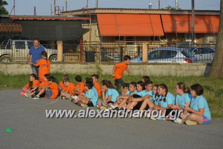 alexandriamou.gr_dim_sxoleio_neoxoriou11.6.2018067