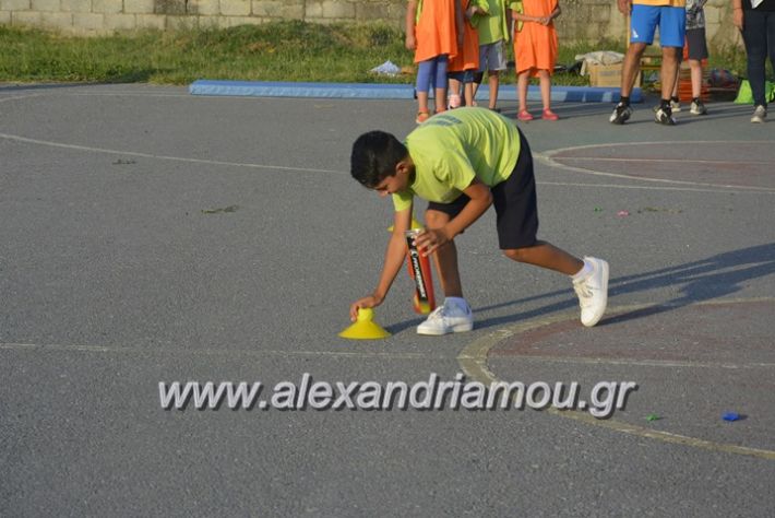 alexandriamou.gr_dim_sxoleio_neoxoriou11.6.2018069