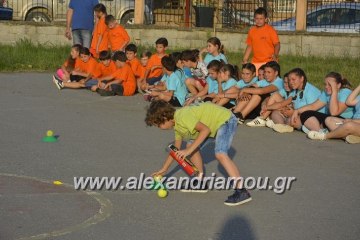 alexandriamou.gr_dim_sxoleio_neoxoriou11.6.2018073