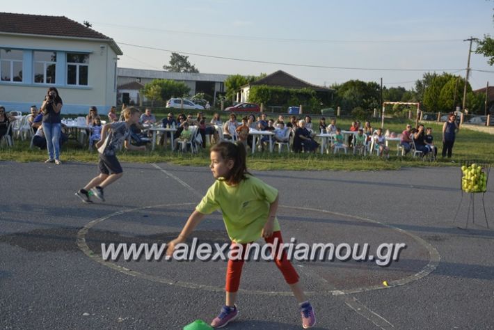 alexandriamou.gr_dim_sxoleio_neoxoriou11.6.2018080