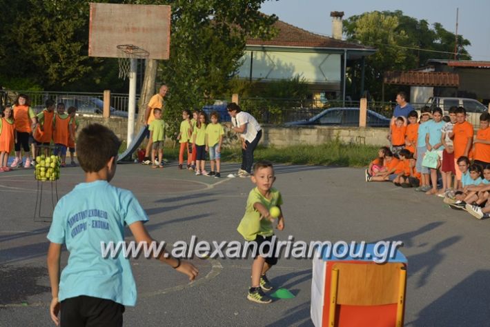 alexandriamou.gr_dim_sxoleio_neoxoriou11.6.2018082