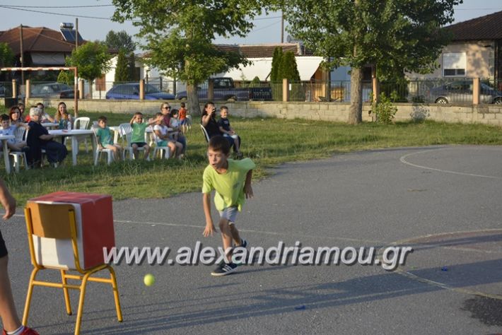 alexandriamou.gr_dim_sxoleio_neoxoriou11.6.2018083