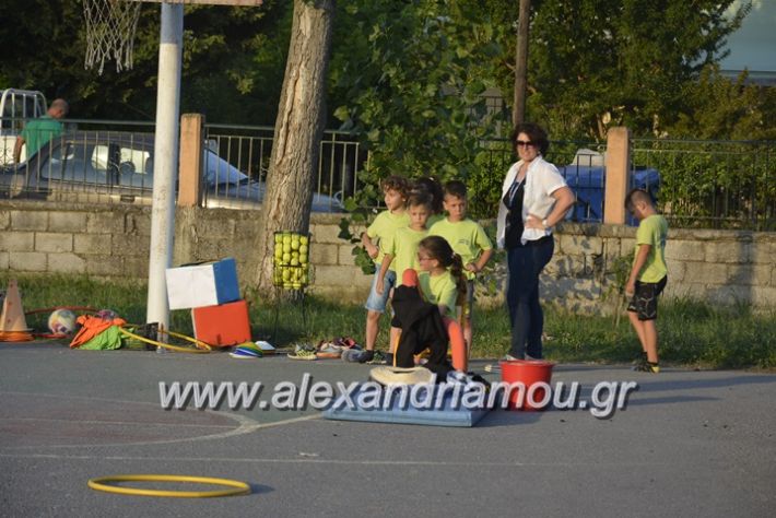 alexandriamou.gr_dim_sxoleio_neoxoriou11.6.2018093