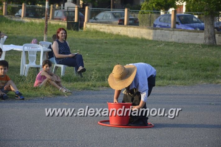 alexandriamou.gr_dim_sxoleio_neoxoriou11.6.2018098