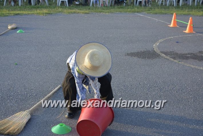 alexandriamou.gr_dim_sxoleio_neoxoriou11.6.2018100