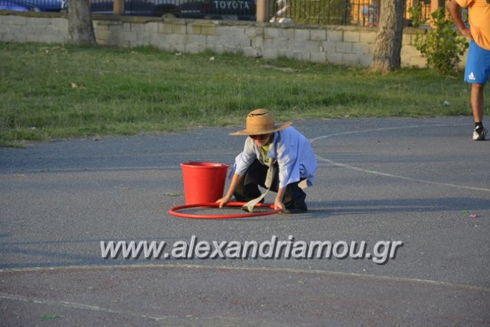 alexandriamou.gr_dim_sxoleio_neoxoriou11.6.2018103