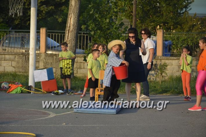 alexandriamou.gr_dim_sxoleio_neoxoriou11.6.2018104