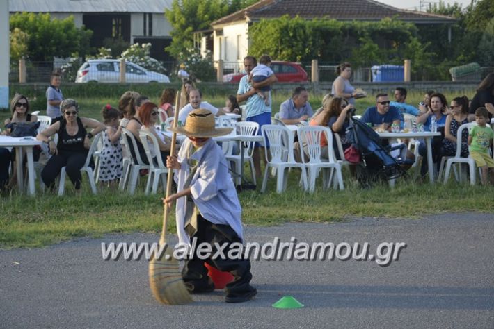 alexandriamou.gr_dim_sxoleio_neoxoriou11.6.2018105