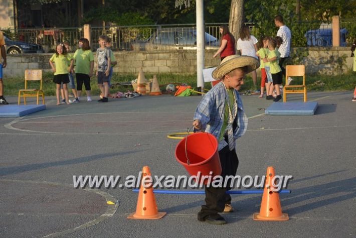 alexandriamou.gr_dim_sxoleio_neoxoriou11.6.2018106