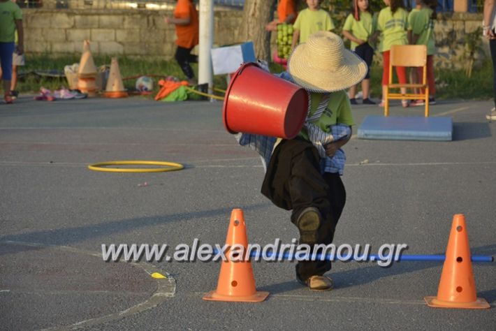 alexandriamou.gr_dim_sxoleio_neoxoriou11.6.2018118