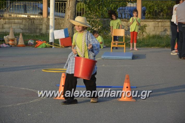 alexandriamou.gr_dim_sxoleio_neoxoriou11.6.2018121