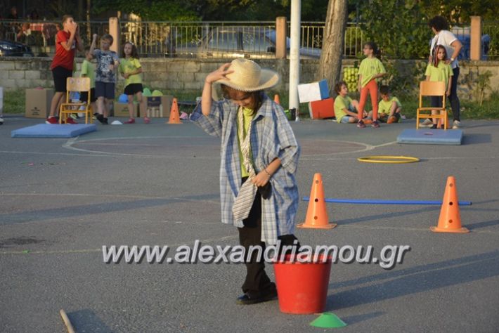 alexandriamou.gr_dim_sxoleio_neoxoriou11.6.2018123