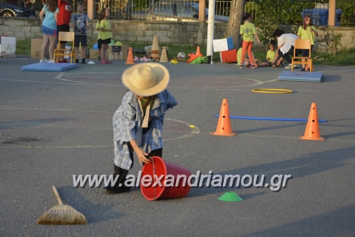 alexandriamou.gr_dim_sxoleio_neoxoriou11.6.2018124