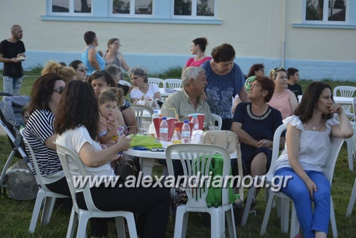 alexandriamou.gr_dim_sxoleio_neoxoriou11.6.2018127