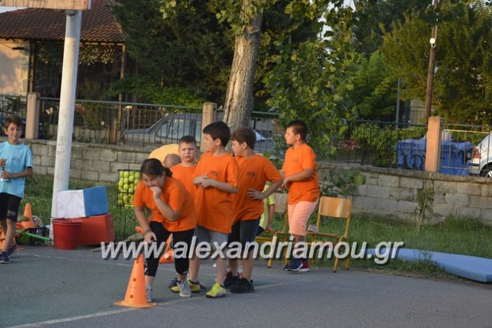 alexandriamou.gr_dim_sxoleio_neoxoriou11.6.2018135