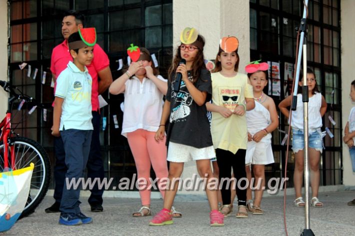 alexandriamou_4odimsxoleioapofoitisi12.6.2019043