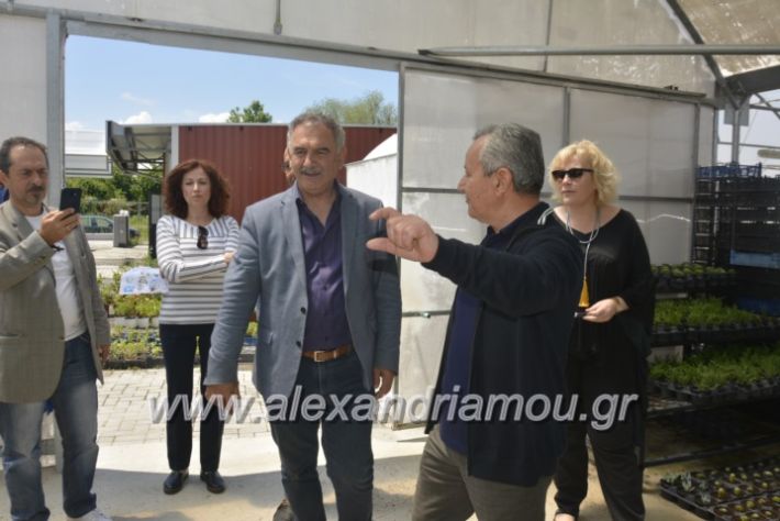 alexandriamou_teligiannidispaidiaanoiksis2019063