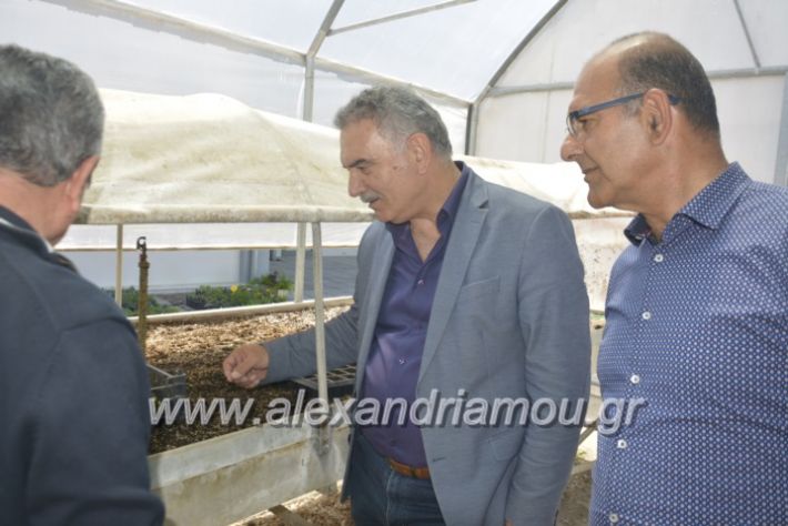 alexandriamou_teligiannidispaidiaanoiksis2019064