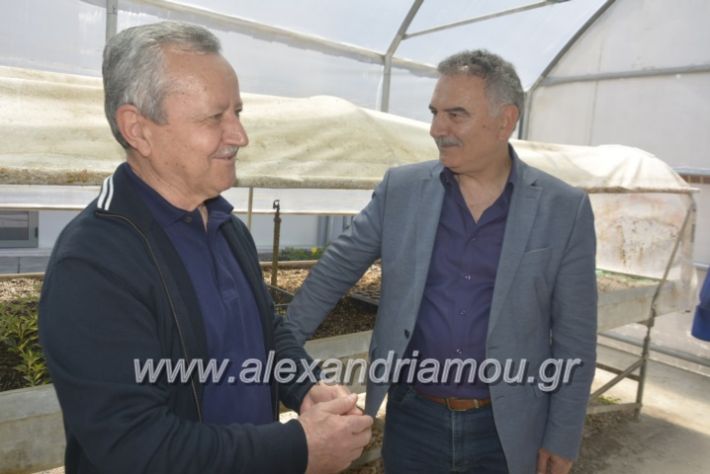 alexandriamou_teligiannidispaidiaanoiksis2019065