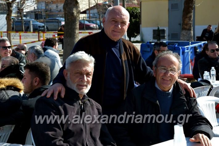 alexandriamou.gr_tenispita20DSC_0755