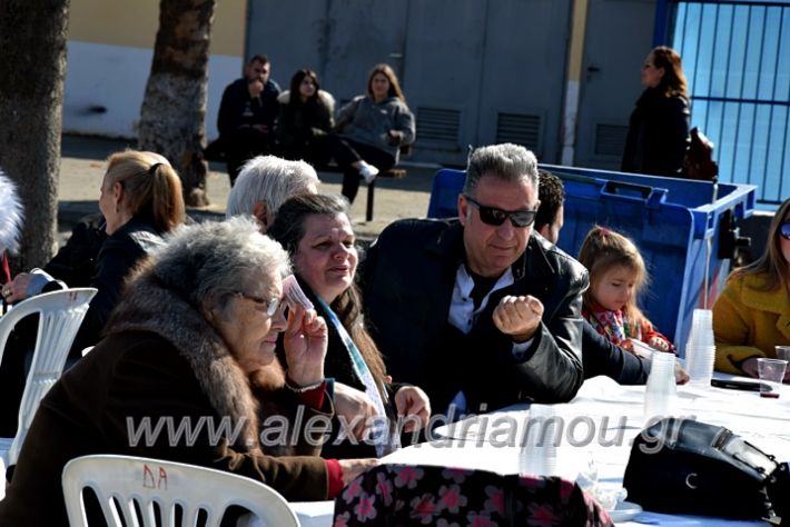 alexandriamou.gr_tenispita20DSC_0761