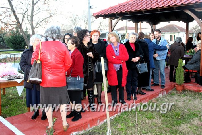 alexandriamou.gr_thiraniksiaagioufaniouriou2019IMG_0804