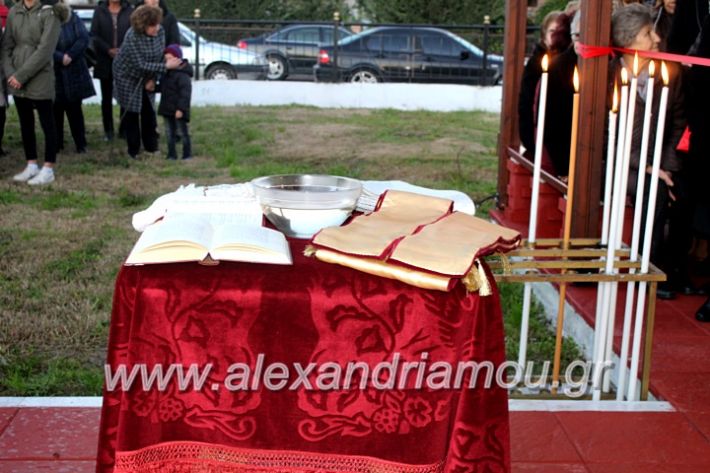 alexandriamou.gr_thiraniksiaagioufaniouriou2019IMG_0814