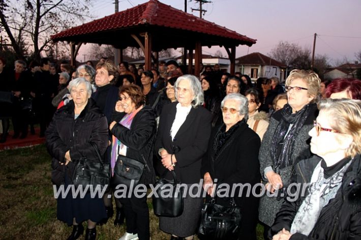 alexandriamou.gr_thiraniksiaagioufaniouriou2019IMG_0849