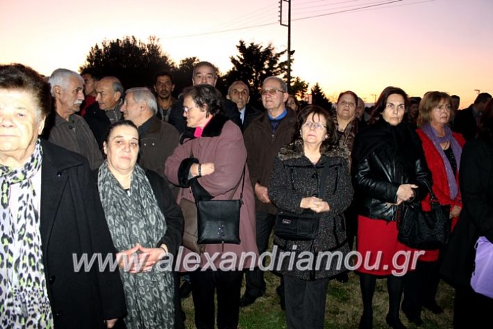 alexandriamou.gr_thiraniksiaagioufaniouriou2019IMG_0865