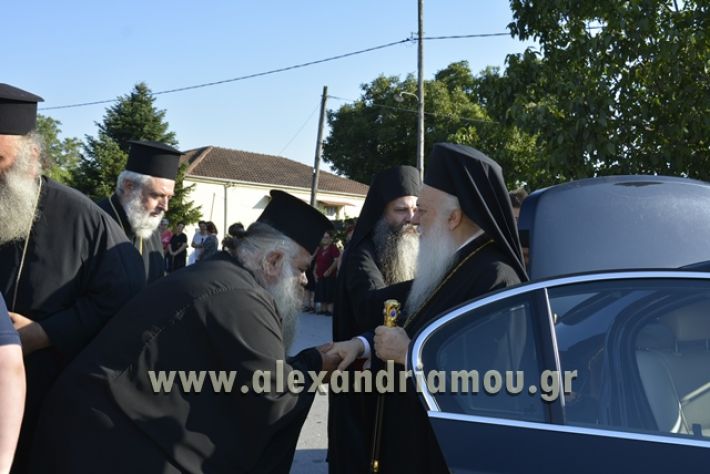 agiosPaisios_kampoxori_08.07.17007