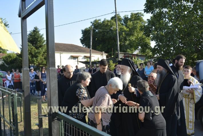 agiosPaisios_kampoxori_08.07.17011