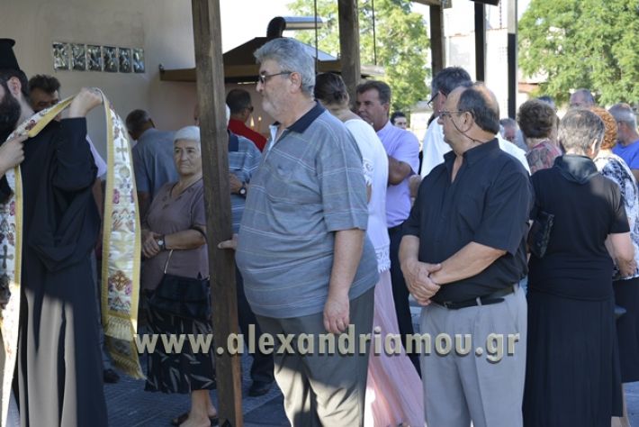 agiosPaisios_kampoxori_08.07.17020