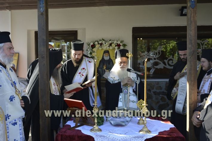 agiosPaisios_kampoxori_08.07.17024