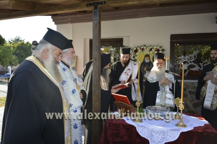 agiosPaisios_kampoxori_08.07.17025