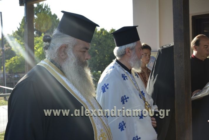 agiosPaisios_kampoxori_08.07.17031