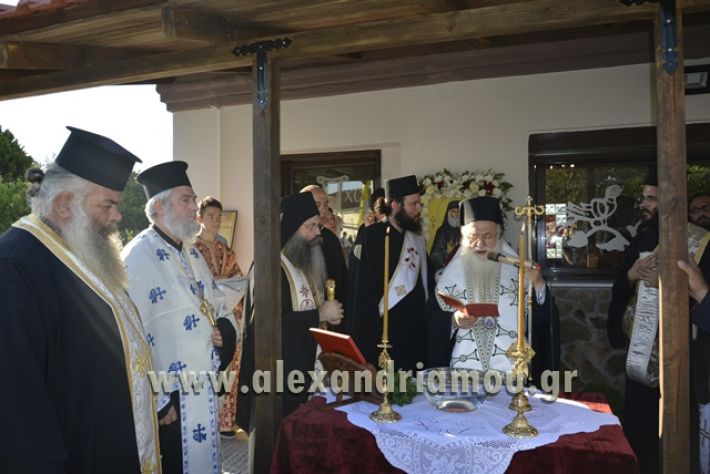 agiosPaisios_kampoxori_08.07.17046