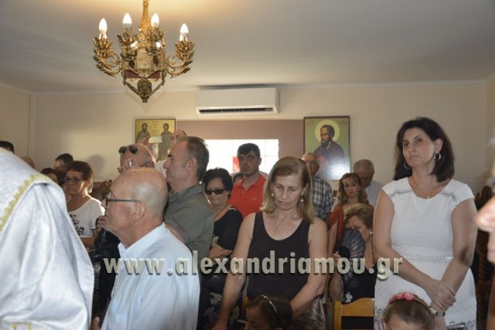 agiosPaisios_kampoxori_08.07.17108