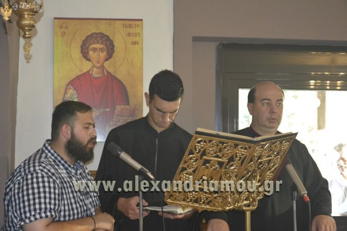 agiosPaisios_kampoxori_08.07.17124