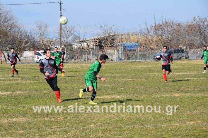 alexandriamou.gr_tilemexi098DSC_0502