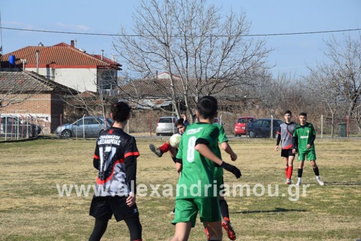 alexandriamou.gr_tilemexi098DSC_0511