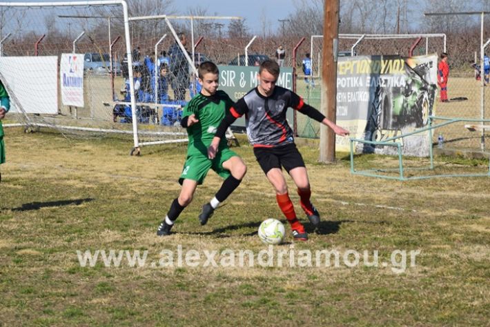 alexandriamou.gr_tilemexi098DSC_0517