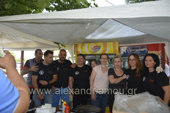 alexandriamou.gr_tilemaxi032