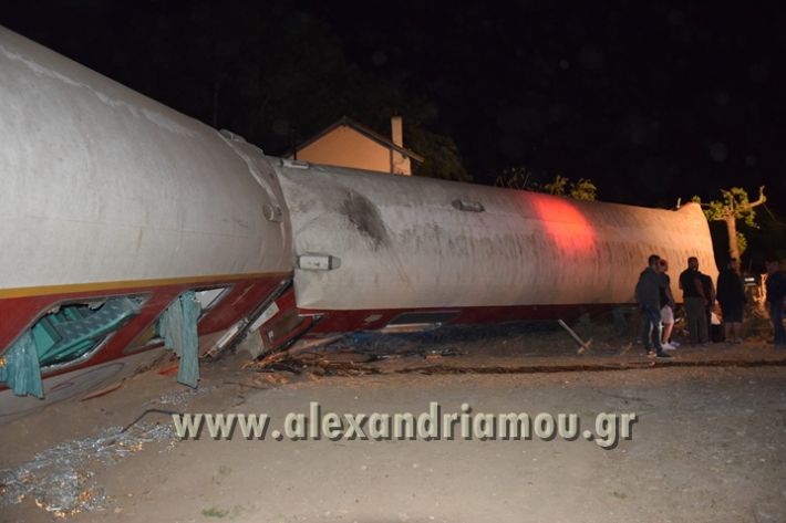 alexandriamou_treno_adendro031