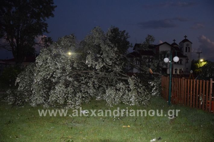 alexandriamou.gr_trikala2222DSC_0321