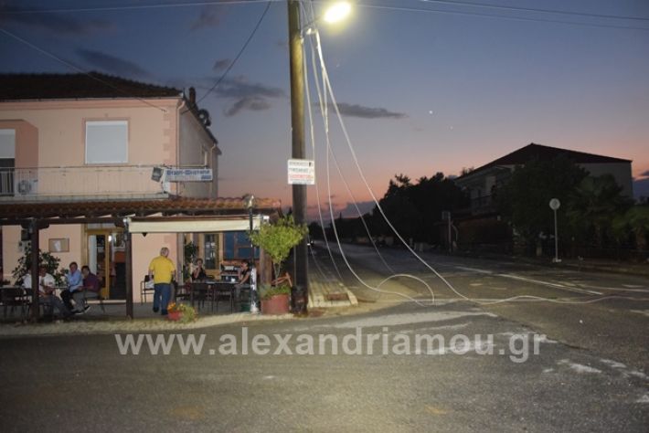 alexandriamou.gr_trikala2222DSC_0333