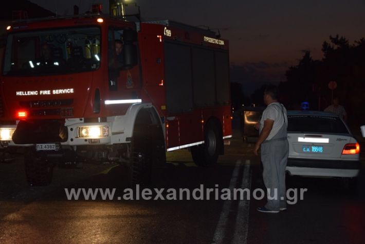 alexandriamou.gr_trikala2222DSC_0338