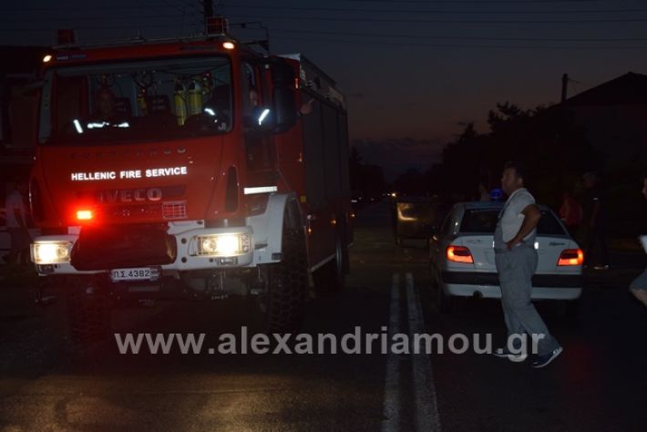 alexandriamou.gr_trikala2222DSC_0339