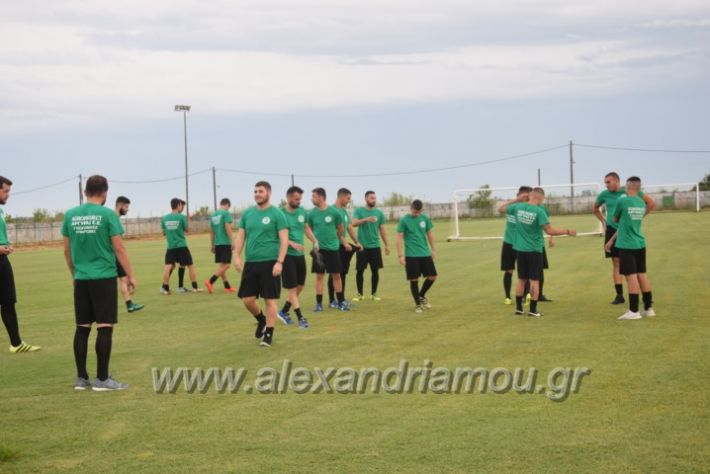 alexandriamou.gr_trikalaagiasmo2018062