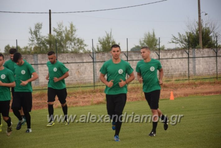 alexandriamou.gr_trikalaagiasmo2018090